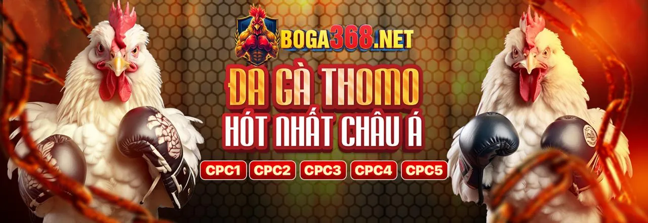 Tổng quan các môn thể thao tại tải 1rr99