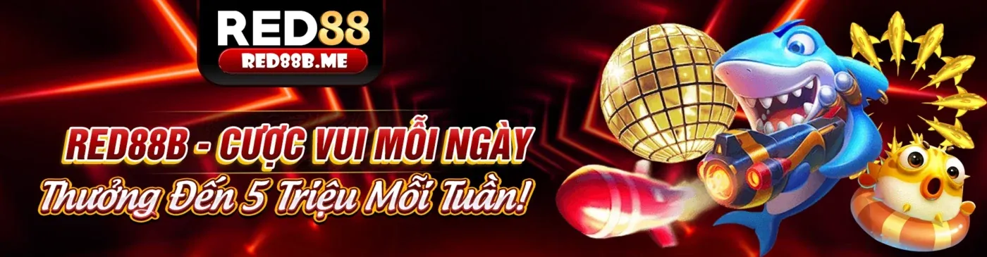 Hình ảnh chủ đạo blog tải 1rr99