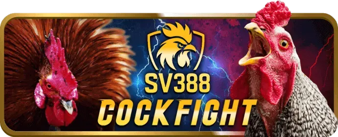 Đá gà cựa sắt và cựa dao trên tải 1rr99